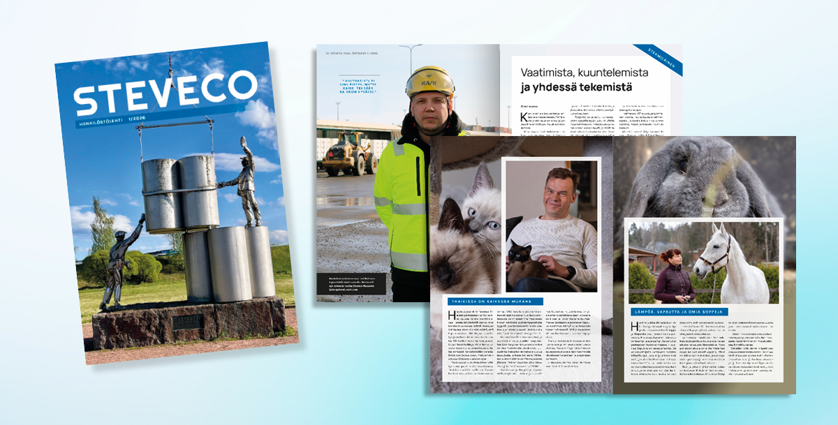 Steveco 1_26